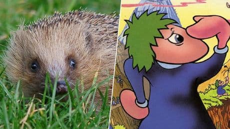Llevamos 50 años pensando que los lemmings son roedores que se suicidan en masa. La culpa de todo la tiene Disney