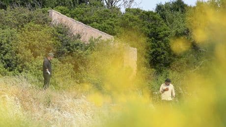 Suspect in disappearance of Madeleine McCann could be freed from prison early after donor pays fine