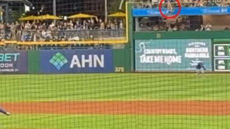 Baseball fan plunges more than 20 feet from stands at MLB game as players seen praying