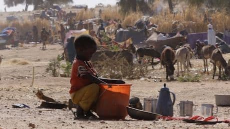 Hunger, Cholera, Vertreibung – Die beispiellose humanitäre Katastrophe im Sudan