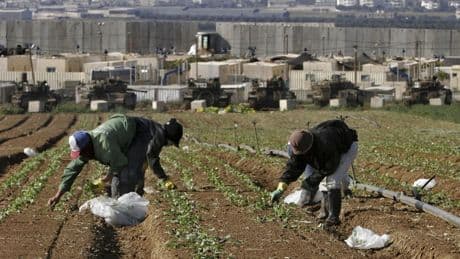 Why were so many Thai farmers among the hostages held by Hamas?