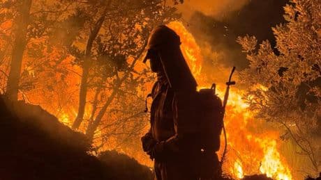 Incendios en España, en directo | Se complica la situación en León, con nuevos fuegos que obligan a desalojar varios municipios