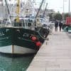 « Les pêcheurs ont sauté dans l’eau »: une personne âgée chute dans le port de Saint-Vaast-la-Hougue