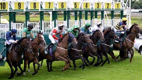 Newsboy’s horseracing tips for Monday’s four meetings, including Catterick Nap