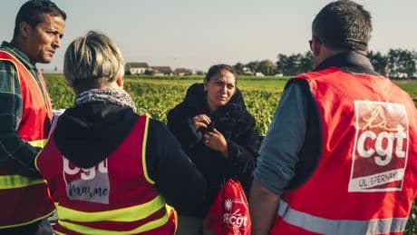 « Vendanges de la honte » : le procès qui secoue la Champagne
