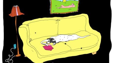 Dear Pepper: All the World’s a Life Stage