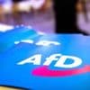 „AfD wird aus Protest gewählt – das kann man nicht verbieten“: Führende Unionsleute bleiben bei AfD-Verbotsthema skeptisch