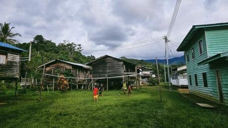 Comment les Penan de Bornéo m’ont appris à danser avec la nature
