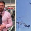 Wounded soldier escapes battlefield using e-bike delivered by drone