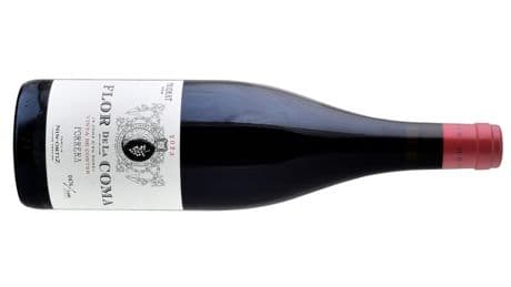 El vino de la semana: Flor de la Coma 2023 de Família Nin-Ortiz