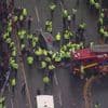 Liverpool : 47 blessés après qu’une voiture a foncé dans la foule