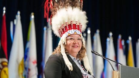 Proposed fast-tracking of national projects 'serious threat' to treaty rights: AFN Chief