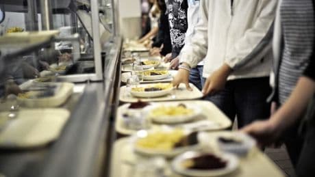 Finistère: le département annonce 100% de poissons bretons dans les assiettes de ses collégiens