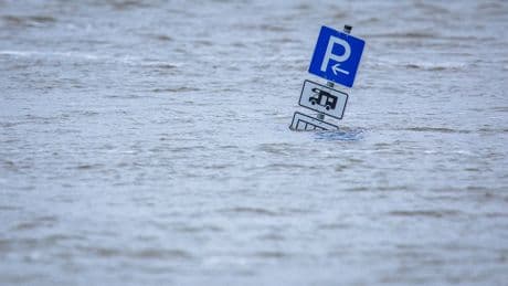 Bessere Maßnahmen gefordert: Umwelthilfe sieht hohes Hochwasserrisiko für Niedersachsen