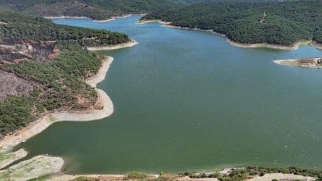 Uzmanlar uyardı! İstanbul'un barajlarında su seviyeleri kritik eşikte