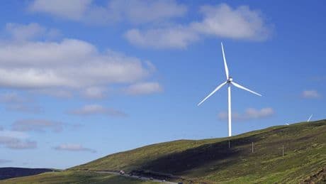 WWF-Studie: Brandenburg führend bei Deutschlands Energiewende