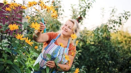 Hochsaison: Welche Gartenarbeit im August unverzichtbar ist