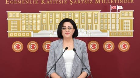 DEM Partili Bartin: Armutlu Mezrası’nda Kadastro işlemleri neden yapılmıyor?