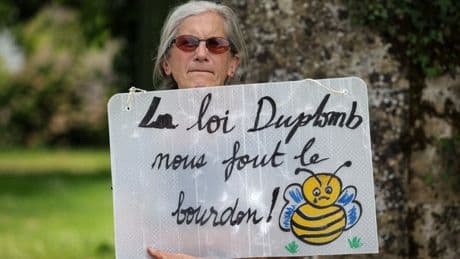 La pétition contre la loi Duplomb approche le million: pourquoi ces signatures ne permettront sans doute pas d'abroger la loi