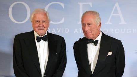 König Charles III.: Zweiten Krönungstag mit Ozean-Film gefeiert