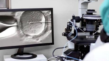 Hastaların yumurtalarını ABD’ye sattıkları iddia edilen doktorların ifadeleri ortaya çıktı
