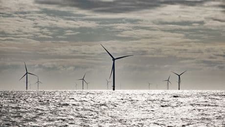 Ørsted stoppt großen Nordsee-Windpark