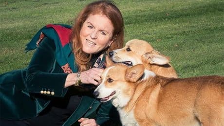 Sarah Ferguson believes late mother-in-law Queen Elizabeth is ‘talking’ to her through her corgis