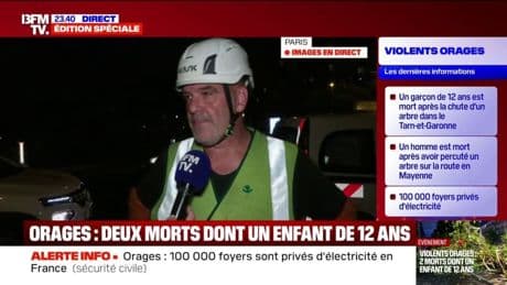 "Un phénomène comme celui-ci est assez exceptionnel": de nombreuses équipes mobilisées pour enlever les arbres tombés dans Paris après les orages