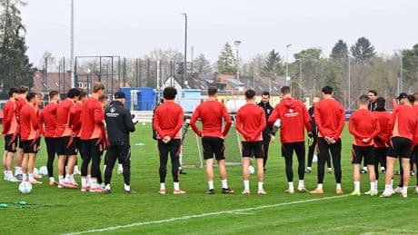 Kommt Ibrahimovic? - 4 Fragen zum Nürnberg-Auftakt