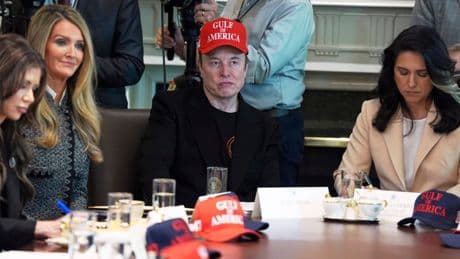 Elon Musk beendet seine Politik-Karriere
