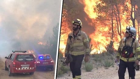 Natuurbrand in Spanje legt 1500 hectare in as