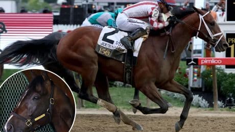 Journalism’s jockey readies for Triple Crown rematch with Sovereignty at Belmont Stakes