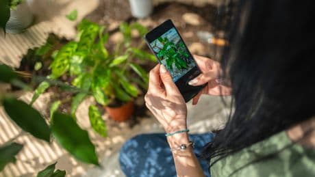 ¿Qué bicho es ese? ¿Qué pájaro está cantando? Probamos las mejores ‘apps’ para identificar especies en la naturaleza