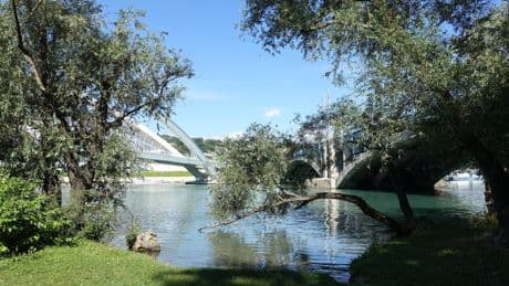 À Lyon, une «baignade dérivante» sur 400 mètres proposée ce dimanche dans le Rhône