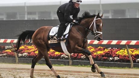 Journalism is the horse to beat in the Preakness. But recent trends show it won't be easy