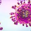 Alert issued by health chiefs after oropouche virus is detected in three Britons, these are the warning signs of 'sloth fever'