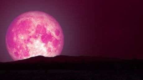 ¿Cuándo es la próxima luna llena? Fecha y hora de la luna rosa de abril