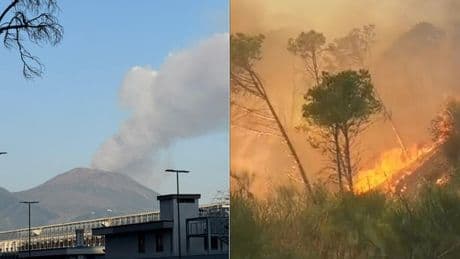 Fumo dal Vesuvio, è un incendio sul versante del Monte Somma: nube visibile dal centro di Napoli