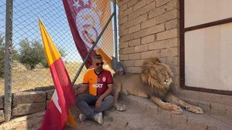 Galatasaraylı taraftar, şampiyonluğu aslanlarıyla kutladı!
