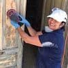 Mother, 51, reveals how she bought six crumbling Italian villas for less than £1 EACH for family and friends to move into... and unveils their incredible transformation after years of DIY