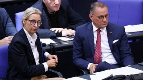 Überraschende Trendwende - In diesen Umfrage-Zahlen steckt eine AfD-Bombe