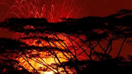 La NASA podría prever erupciones volcánicas desde el espacio gracias a los árboles