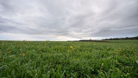 Wetter: Regen und Kaltfront nach sonnigem Start in den Mai