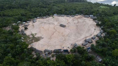 Climat: des pays accusés de «jouer» avec les forêts pour réduire leur ambition