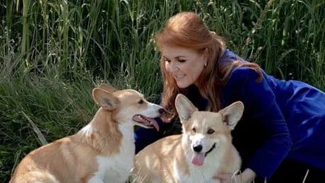 Fergie says late Queen 'still speaks to her' as she gives emotional corgi update