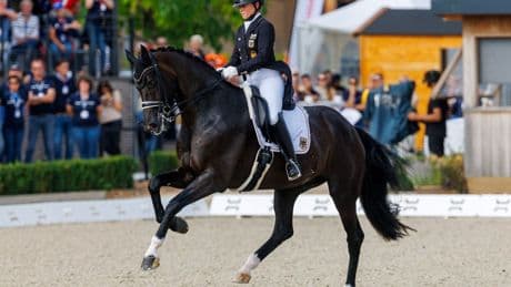 Europameisterschaft: Werth scheitert am 10. Einzel-Gold bei Dressur-EM