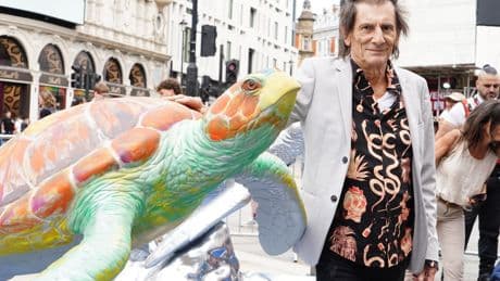 Ronnie Wood urges people to look after wildlife before there is ‘nothing’ left
