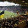 Borussia Dortmund stoppt AfD-Aufkleber: Die Partei darf BVB-Farben nicht für Wahlkampf nutzen