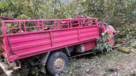 Giresun’da korkunç kaza! Kamyonet fındık bahçesine yuvarlandı: 4 kişi hayatını kaybetti