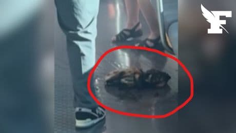 Panique dans le métro à Tokyo: une batterie d’un portable explose, 5 blessés à déplorer
